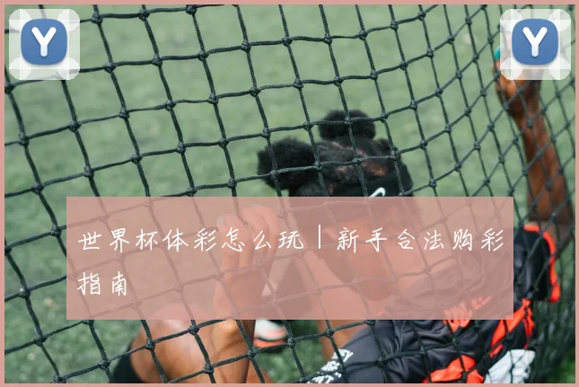 世界杯体彩怎么玩｜新手合法购彩指南