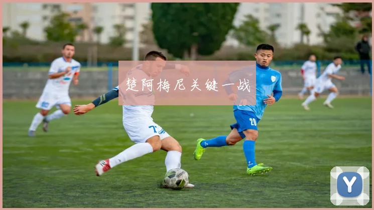 楚阿梅尼关键一战