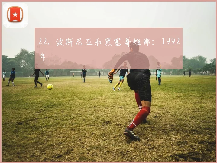 22. 波斯尼亚和黑塞哥维那：1992年