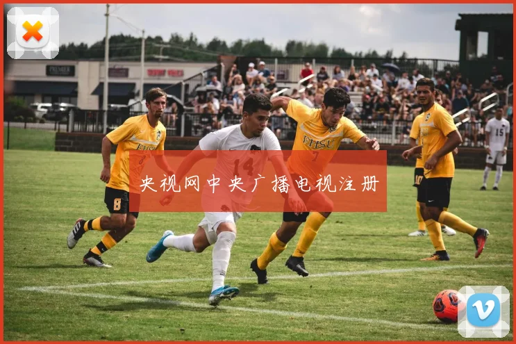 央视网中央广播电视注册