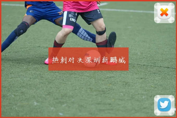 热刺对决深圳新鹏城