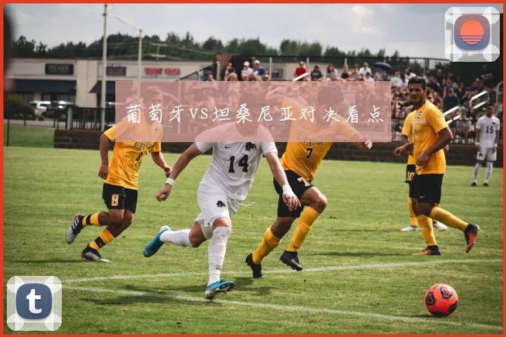 葡萄牙vs坦桑尼亚对决看点