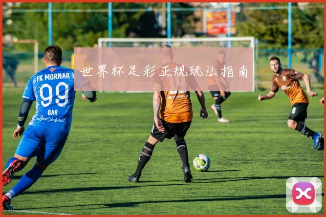 世界杯足彩正规玩法指南