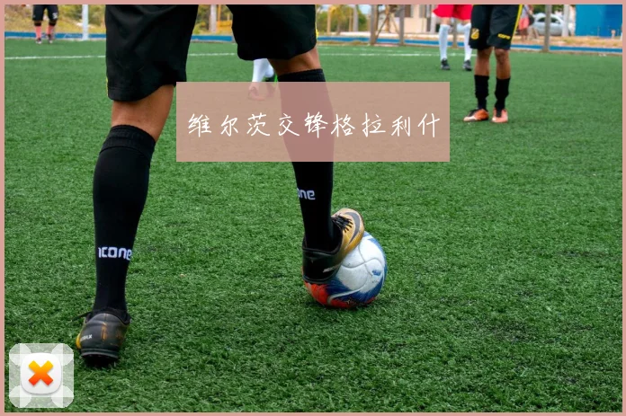 维尔茨交锋格拉利什