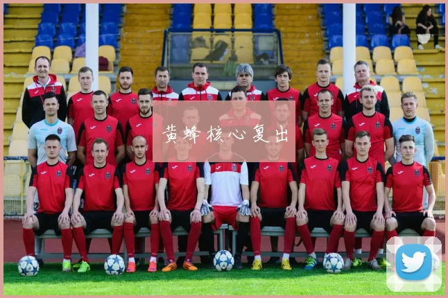 黄蜂核心复出