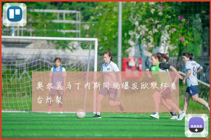 奥尔莫马丁内斯同场爆发欧联杯看台炸裂
