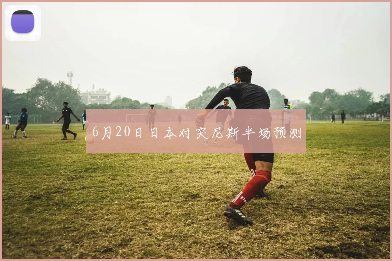 6月20日日本对突尼斯半场预测
