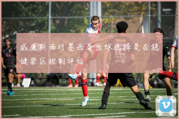 威廉斯面对墨西哥出球选择是否稳健禁区控制评估
